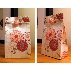 Craft Paper Shopping Bags